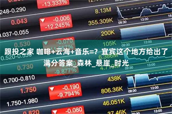 跟投之家 咖啡+云海+音乐=?宜宾这个地方给出了满分答案_森林_悬崖_时光