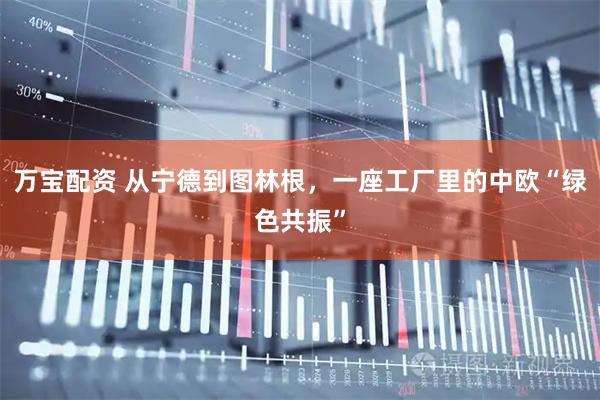 万宝配资 从宁德到图林根，一座工厂里的中欧“绿色共振”