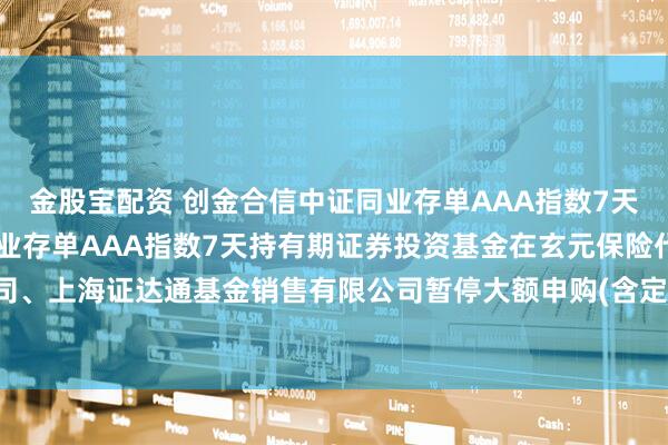 金股宝配资 创金合信中证同业存单AAA指数7天持有期 创金合信中证同业存单AAA指数7天持有期证券投资基金在玄元保险代理有限公司、上海证达通基金销售有限公司暂停大额申购(含定期定额投资)、大额转换转入业务的公告