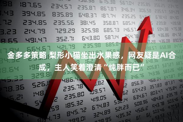 金多多策略 梨形小猫坐出水果感，网友疑是AI合成，主人笑着澄清“纯胖而已”
