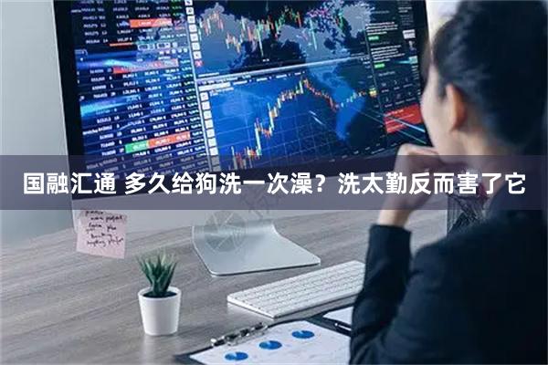 国融汇通 多久给狗洗一次澡？洗太勤反而害了它