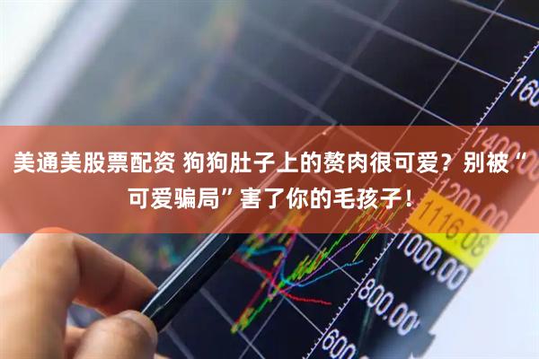 美通美股票配资 狗狗肚子上的赘肉很可爱？别被“可爱骗局”害了你的毛孩子！