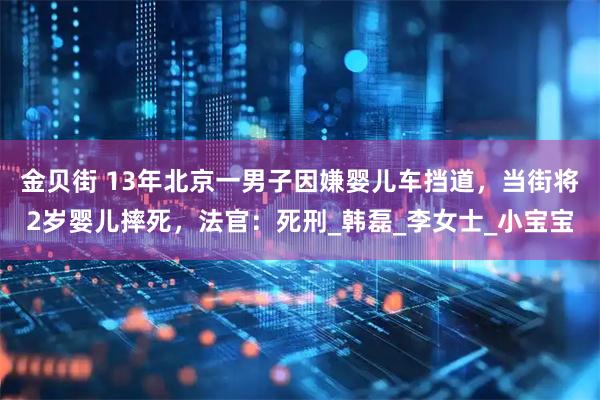 金贝街 13年北京一男子因嫌婴儿车挡道，当街将2岁婴儿摔死，法官：死刑_韩磊_李女士_小宝宝