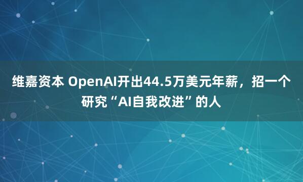 维嘉资本 OpenAI开出44.5万美元年薪，招一个研究“AI自我改进”的人