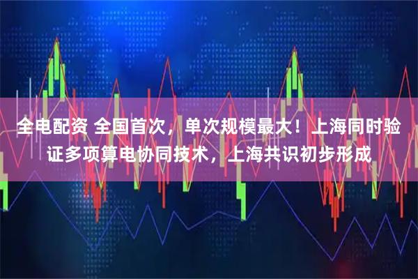 全电配资 全国首次，单次规模最大！上海同时验证多项算电协同技术，上海共识初步形成
