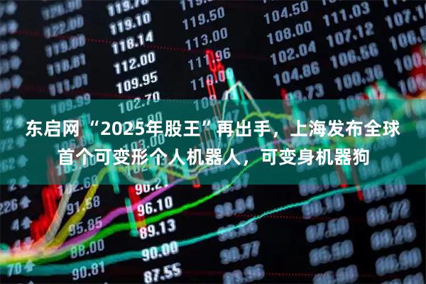 东启网 “2025年股王”再出手，上海发布全球首个可变形个人机器人，可变身机器狗